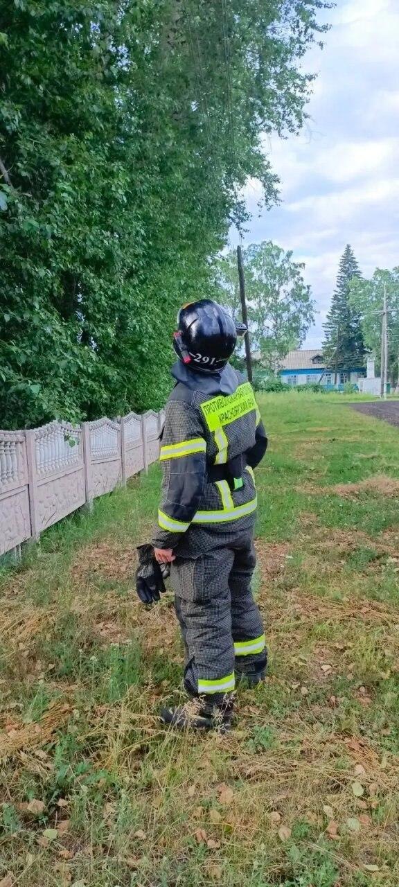 Котёнка сняли с дерева: в Нижней Пойме пожарные провели необычную...