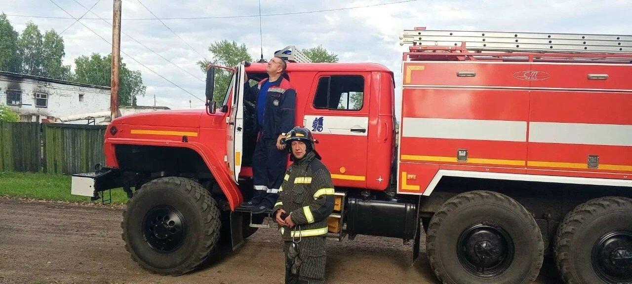 Котёнка сняли с дерева: в Нижней Пойме пожарные провели необычную...