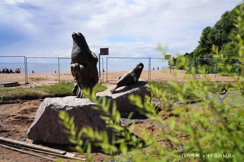 Смольный показал, как обустраивают пляжи Курортного района: белый песок, настилы и 300 камер с ИИ