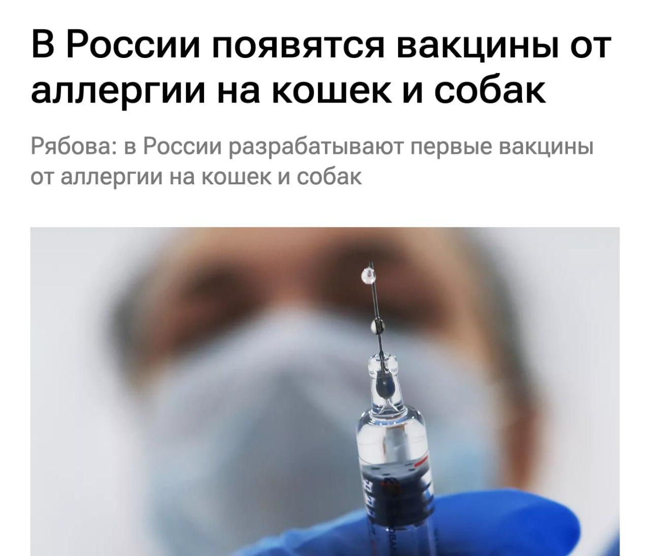 Вакцина от аллергии на кошек и собак появится в России.