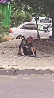 Школьница попыталась расчленить камнем мертвого голубя в Краснодаре. Ее нашла полиция.