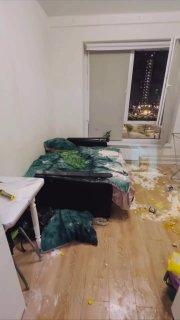 Трэш-стримеры сняли уютную квартиру в Подмосковье и превратили ее в помойку....