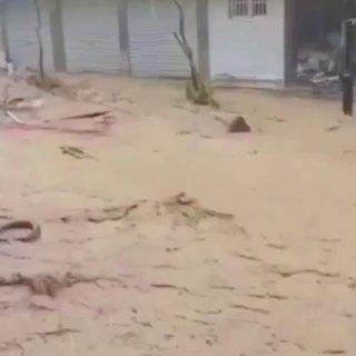 Огромные волны у берега, пальмы почти ломаются от сильного ветра — разрушительный тайфун «Бави» пришёл на Тайвань