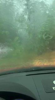 Красное село на безымянного озера Повалило деревья и зажало людей в машинах...