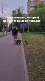 В Москве заметили мужчину, который выгуливал двух нутрий на поводке. 🇷🇺...