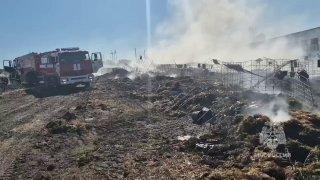 В Канском округе при пожаре на ферме погибли 37 телят В посёлке Степняки...