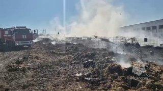 В Канском округе во время пожара сгорели телята