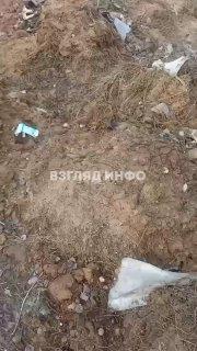 В Туве задержали Светлану Крохалеву — жительницу Минусинска, которая занимается отловом собак