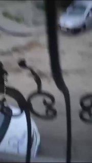 Сочи уходит под воду из-за проливных дождей — улицы превратились в реки, бурные потоки сносят все на своем пути. Уровень воды поднялся сразу в шести реках. В разных районах города сильный ветер повалил деревья.