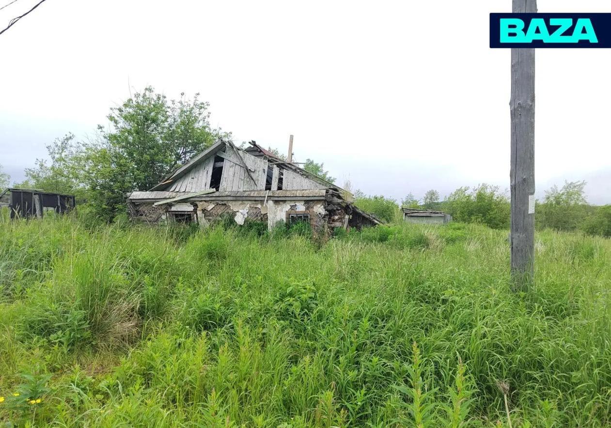 Медведь-людоед из Магаданской области поймал свою жертву, пробравшись в дом....