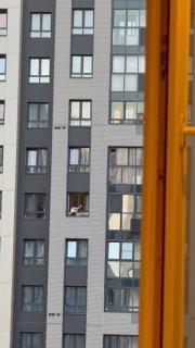 Жительница Новой Москвы решила, что ради фото можно рискнуть жизнью 🇷🇺...
