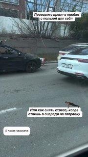 Новосибирцы уже начали отжиматься в очереди за бензином, чтоб не тратить...