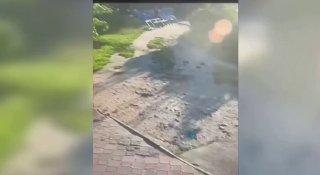 Дерзкое ограбление произошло в Курске: собака вырвала из рук женщины сумку с деньгами и документами