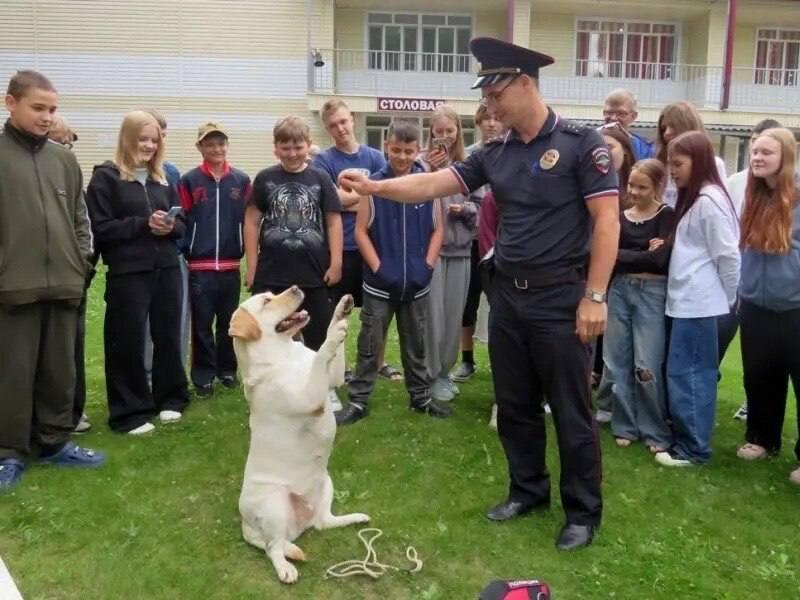 Полицейские провели для школьников Канского округа интерактивный день...