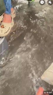 Регионы продолжают уходить под воду из-за проливных дожей. В Перми за ночь выпала месячная норма осадков. На улицах образовались водопады. В поселках затоплены дома, жителей эвакуируют (первые 3 видео).