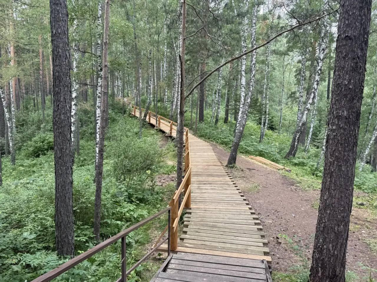На «Красноярских Столбах» обновляют Каштаковский маршрут. Со стороны...