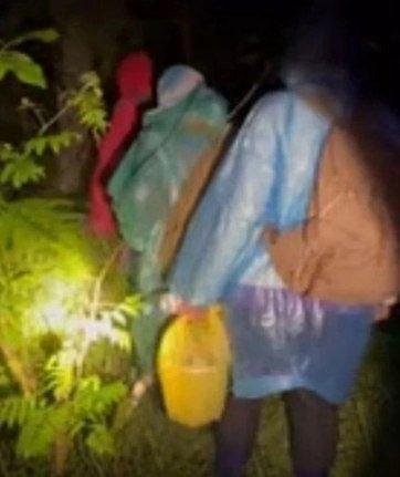 Под Брянском спасли четырех заблудившихся в лесу женщин