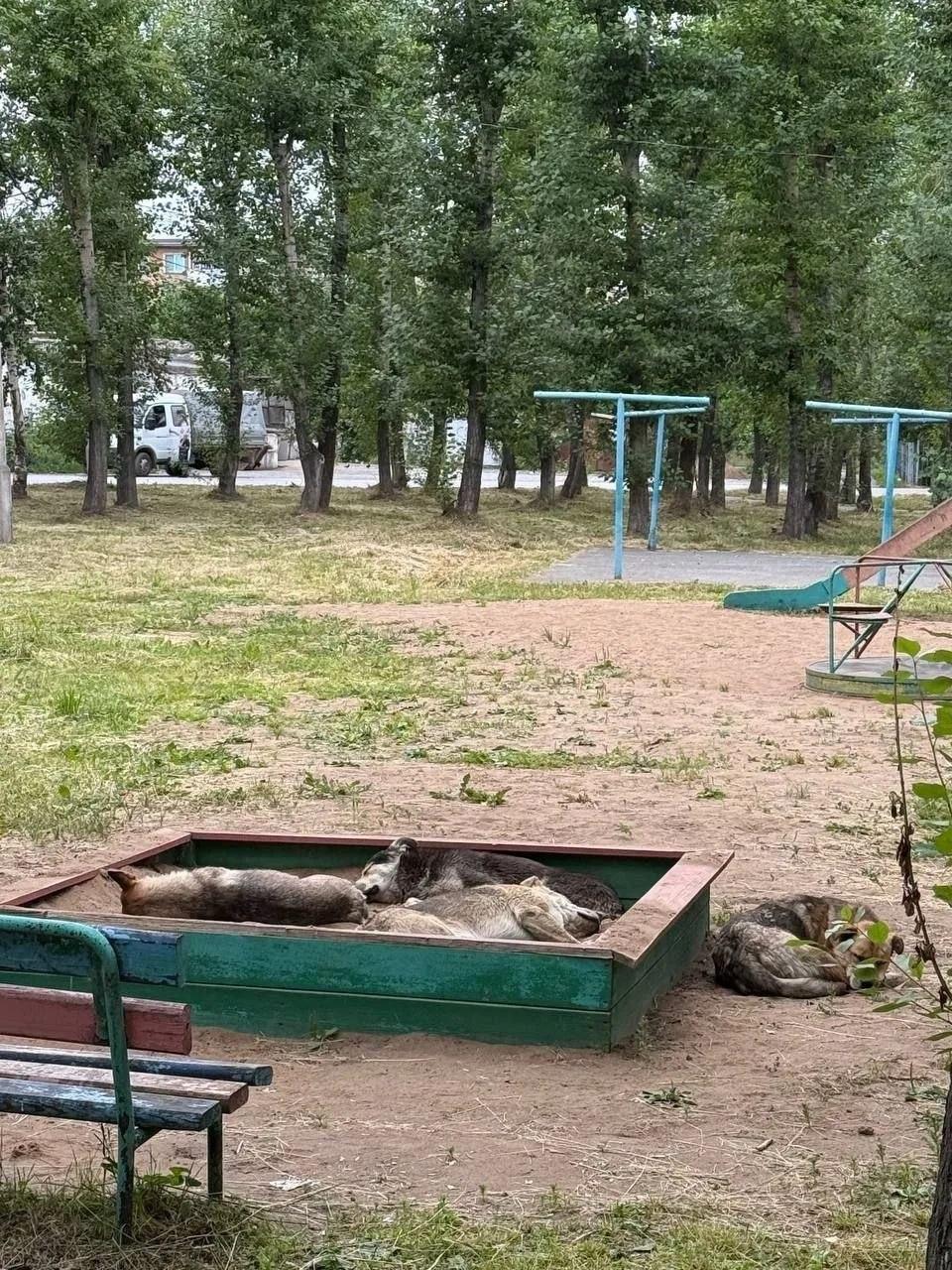 Шесть лет реального срока для ачинской чиновницы запросила прокуратура по...