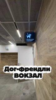Комнату для ухода за питомцами открыли на Ленинградском вокзале после...