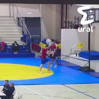 Баскетбольное кольцо рухнуло на самбиста в Екатеринбурге. Мастер спорта...