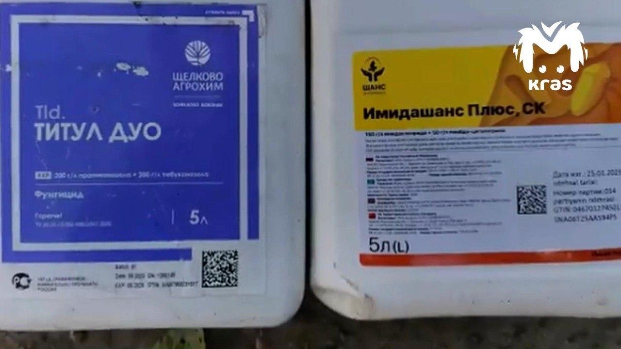 20 миллионов пчёл погибли в Красноярском крае. Люди уверены, что это...
