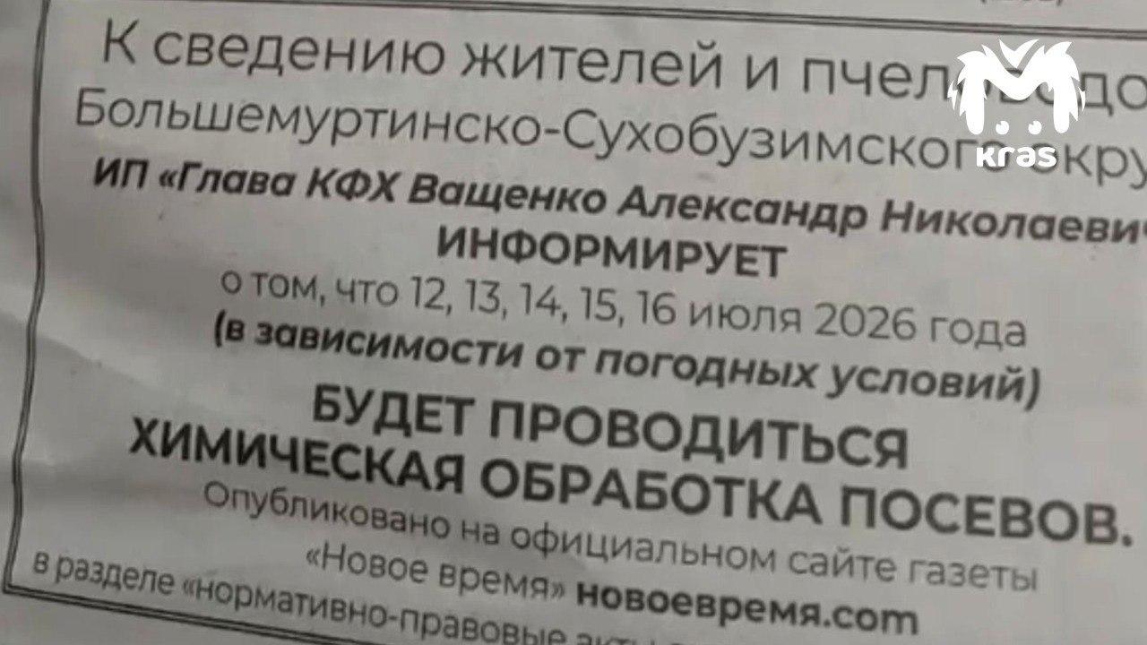 20 миллионов пчёл погибли в Красноярском крае. Люди уверены, что это...