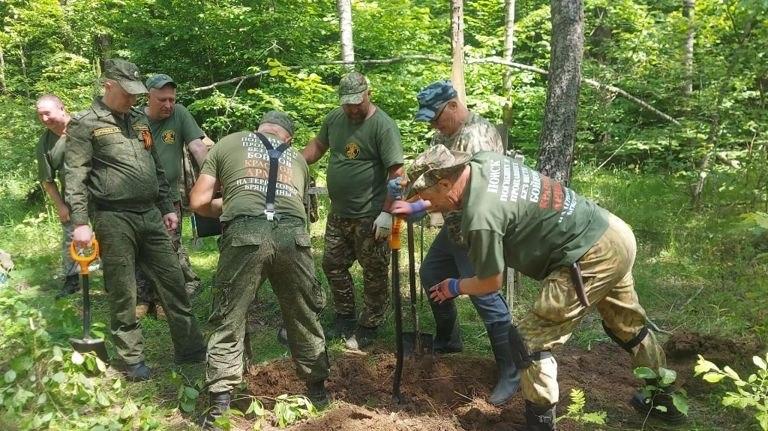 В Карачевском районе поисковики нашли останки трех бойцов Красной армии