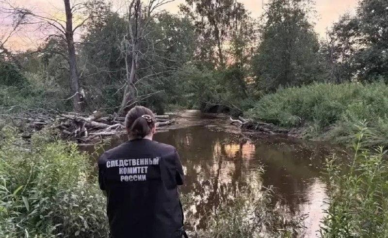 Мать бросилась спасать унесённого течением сына и погибла вместе с ним в Новгородской области