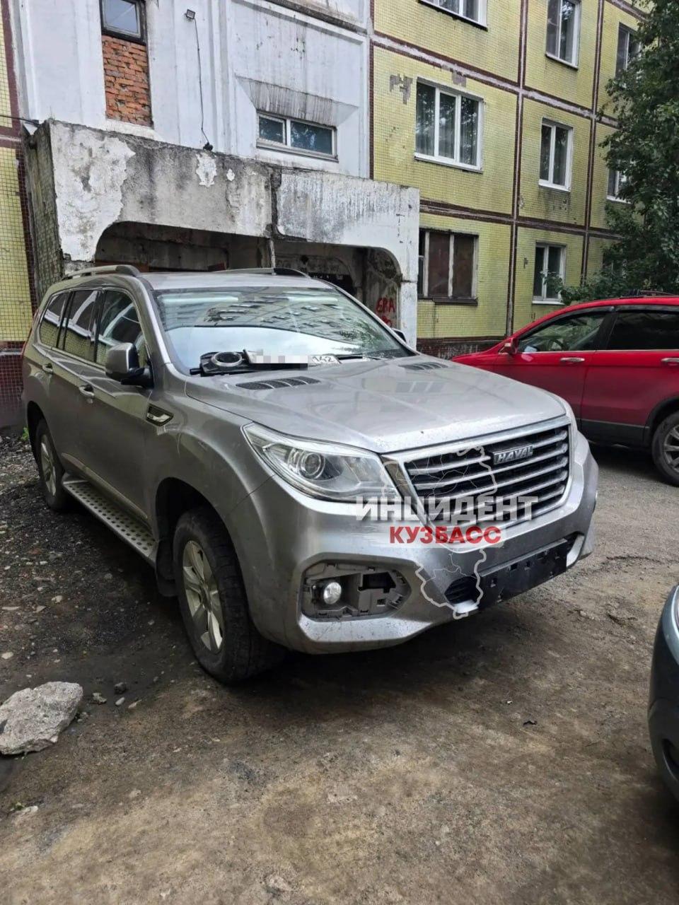 В Междуреченске бродячие собаки ночью разобрали машину местному жителю