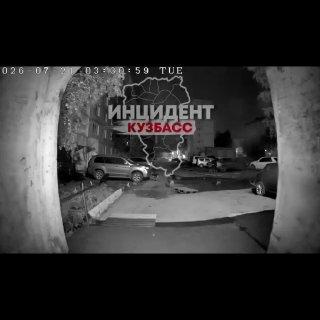 В Междуреченске бродячие собаки ночью разобрали машину местному жителю