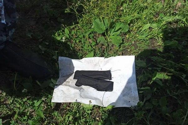 Кота-наркокурьера задержали в Нижегородской области.