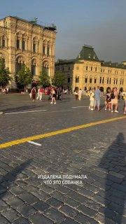 Москвича арестовали на пять суток за выгул козы на Красной площади.