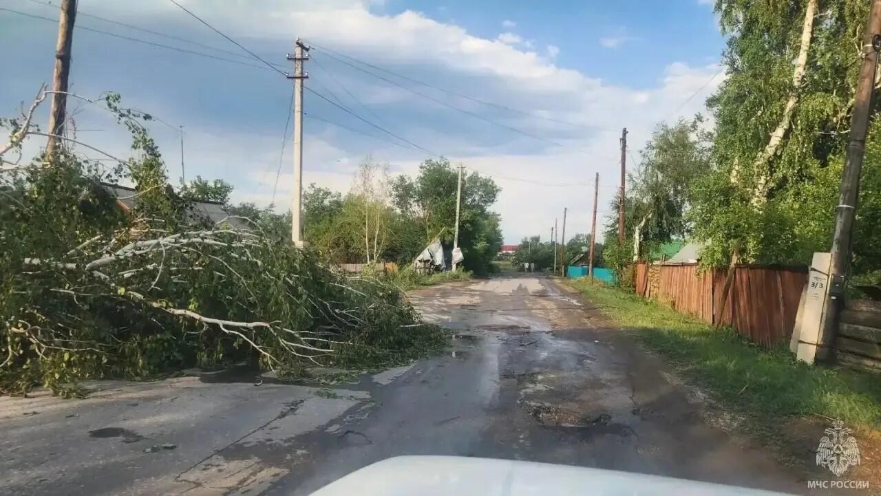 Мощный ураган в Алтайском крае оставил без света более 6 тысяч жилых домов