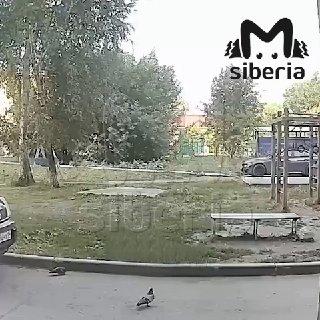 Слишком широкий козырёк подъёзда стал причиной аварии во дворе Новосибирска.