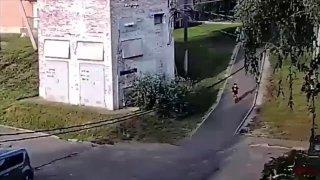 6-летнего ребёнка покусали в Подмосковье две бойцовые собаки, сбежавшие от хозяина, — американские булли
