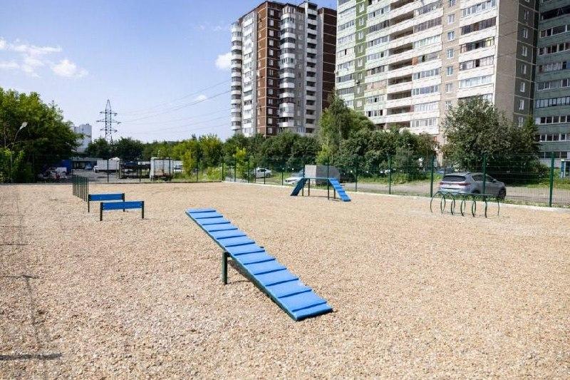 В Екатеринбурге открыли самую большую площадку для выгула собак