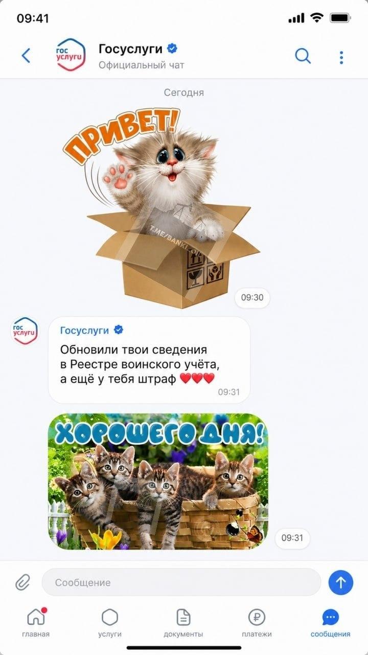 Госуслуги станут новым «убийцей» Telegram. Власти обсуждают превращение портала в очередной госмессенджер, пишут «Известия»