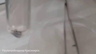 Клещи сохраняют свою активность На минувшей неделе пострадали от нападения...