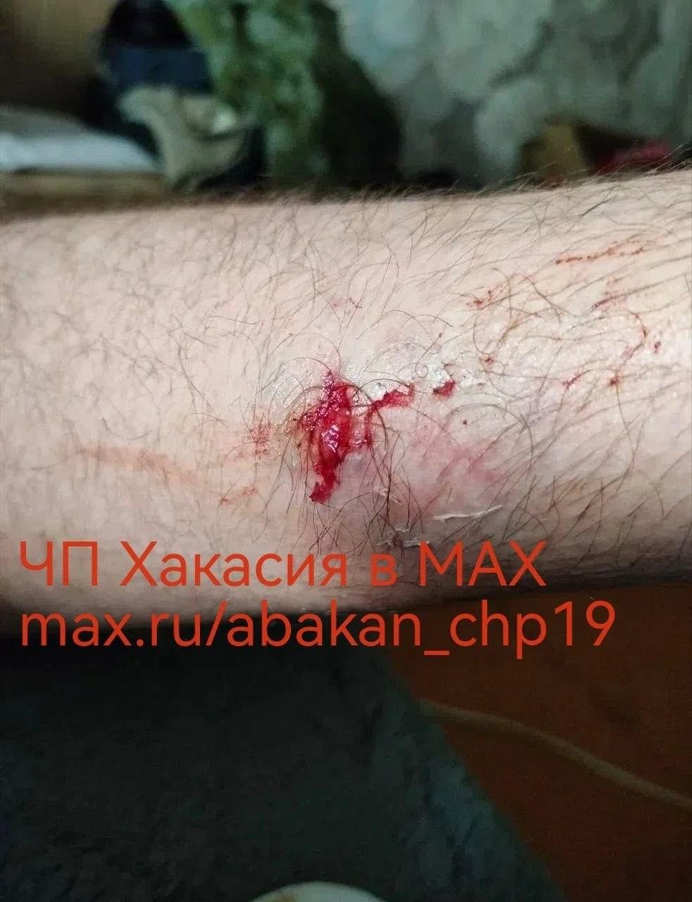 Ужас в Черногорске