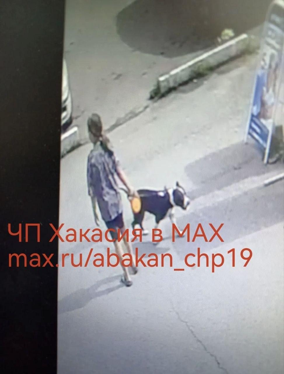 Ужас в Черногорске