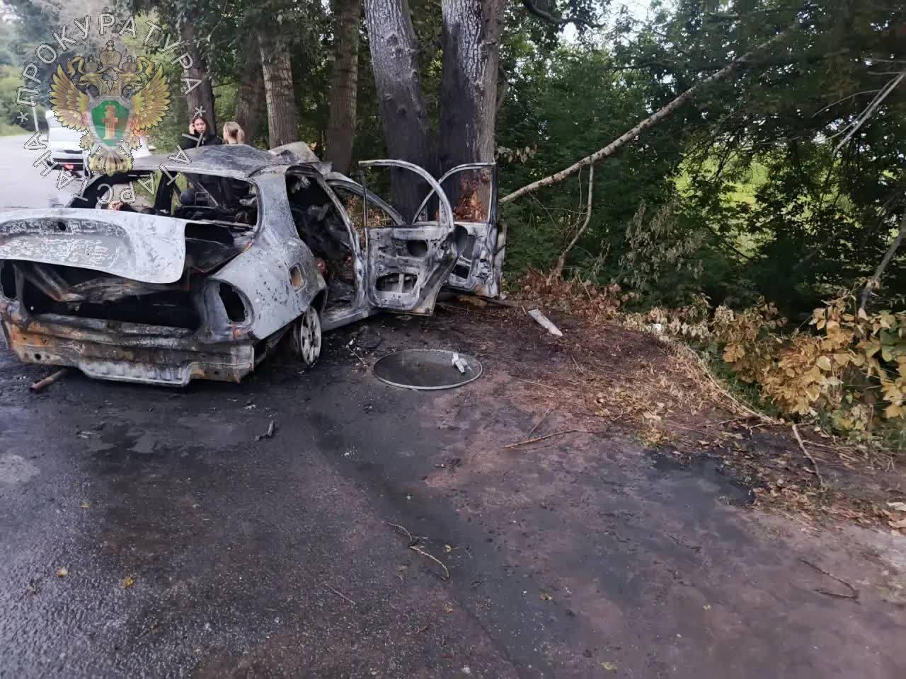 В Татарстане шесть подростков сгорели заживо после страшного ДТП в. Машина с...