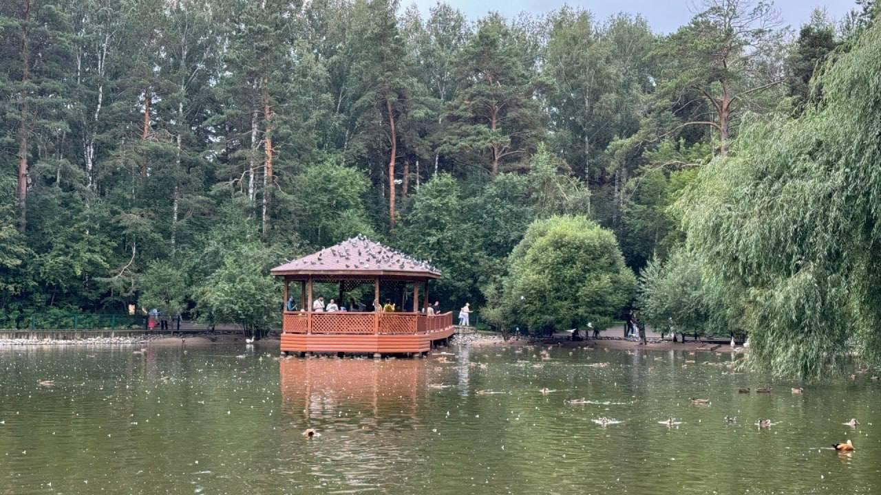 В Новосибирский зоопарк больше нельзя приезжать на самокатах и велосипедах