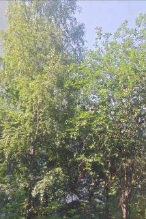 В Екатеринбурге после атаки БПЛА вспыхнул пожар в районе склада Wildberries
