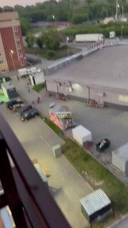 Бойцовские собаки загрызли двух питомцев и нападают на людей в Стрижах С мая...