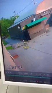 Бойцовские собаки загрызли двух питомцев и нападают на людей в Стрижах С мая...