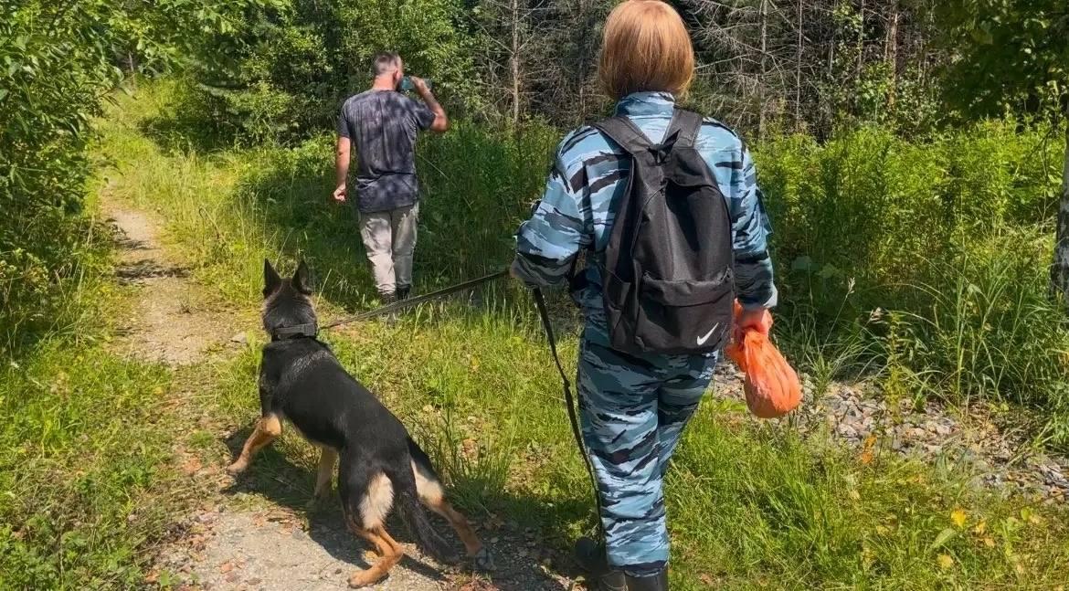 Пенсионерка пошла за грибами и два дня провела в лесу. Жительница села...