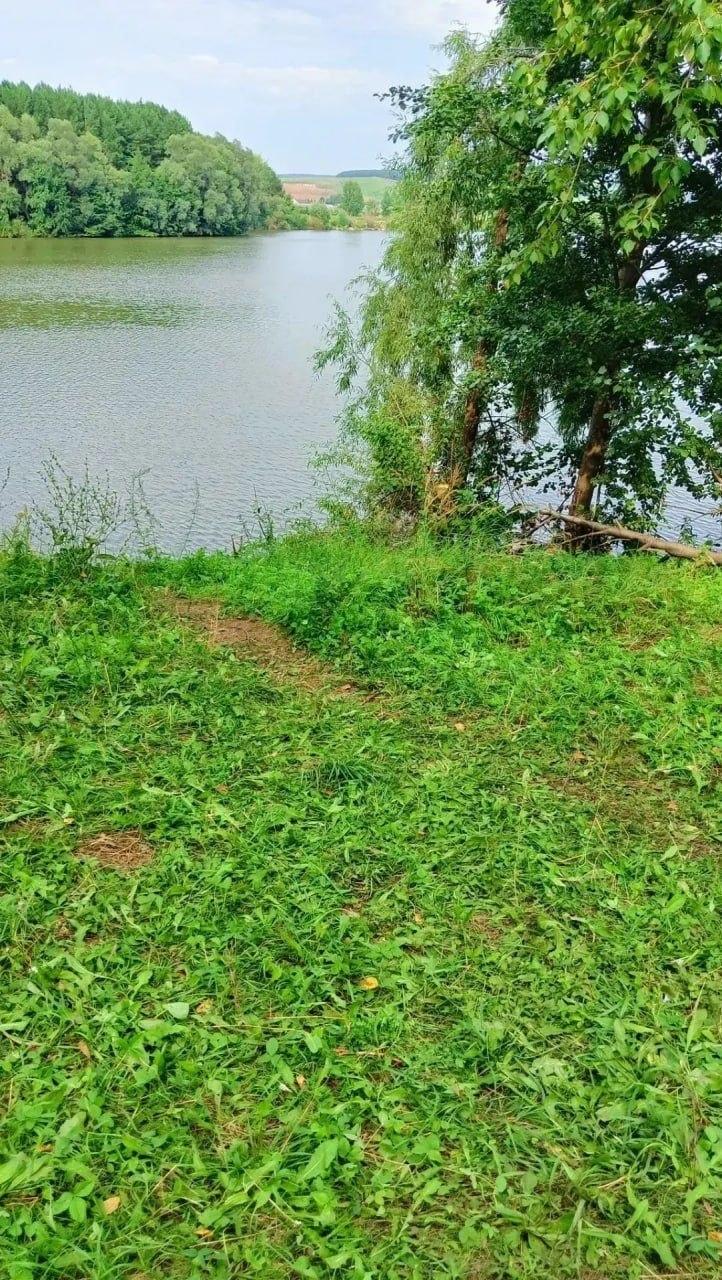 Пятилетний ребёнок утонул в пруду в Татарстане. Трагедия произошла в...