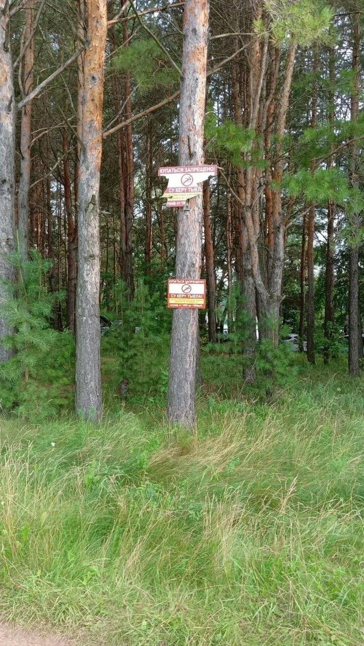 Пятилетний ребёнок утонул в пруду в Татарстане. Трагедия произошла в...