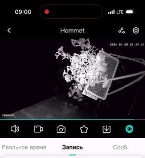 В Кызыле неизвестная по ночам похищает цветы у магазинов