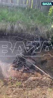 Бобры оккупировали дачу под Брянском и два месяца держали оборону. Отряд...